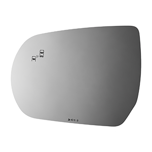 SIDE VIEW MIRROR W BLIND SPOT